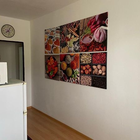 Apartment Fialka Оломоуц Екстер'єр фото